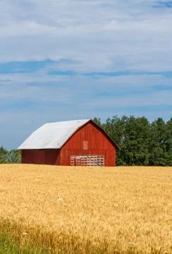 Red Barn in Field Stock Photos