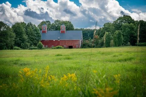 Red barn in field surrounded by trees in Greensboro, Vermont, United States Stock Photos