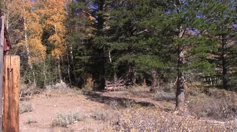 Red Barn Video stock 42610823