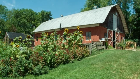 Red Barn 스톡 동영상 93253370