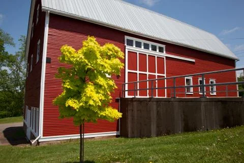 Red barn green tree Stock Photos