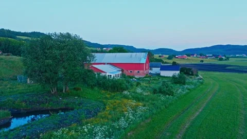 Red Barn House And Fields In Rural Norway - Drone Shot Stock Footage 314764399