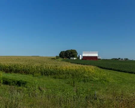 Red barn next to a field of corn Stock Photos