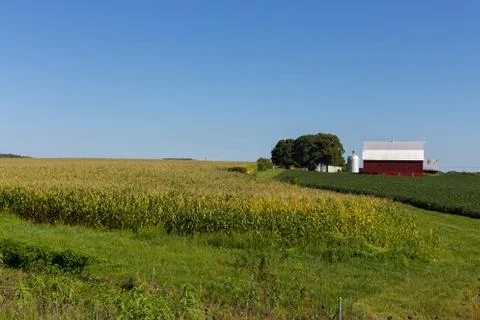 Red barn next to a field of corn Stock Photos