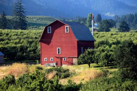 Red barn in an orchard. Stock Photos