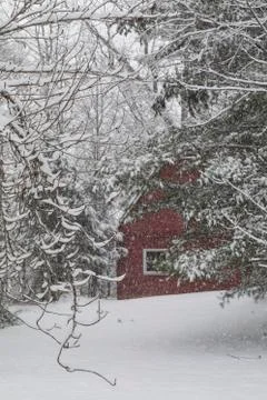 Red Barn in Snow Foto stock
