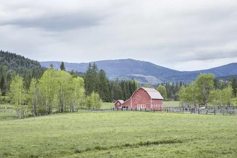 Red barn in springtime. Stock Photos