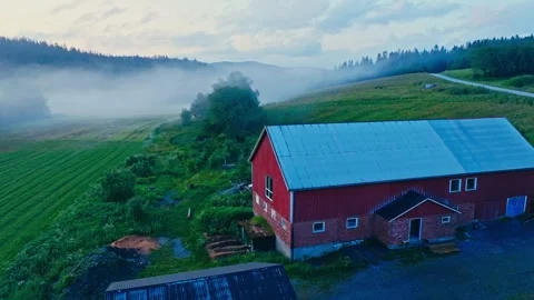 Red Barn Surrounded By Fields In Norway - Drone Shot Stock Footage 314764056