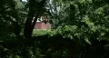 Red Barn Thru Trees HD Footage