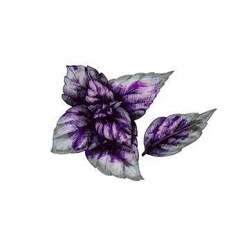 Red basil fresh branches with leaves. Vector color vintage hatching Stock-Illustration