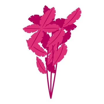 Red basil icon isometric vector. Fresh herb Illustrazione stock