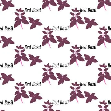 Red basil seamless pattern Illustrazione stock