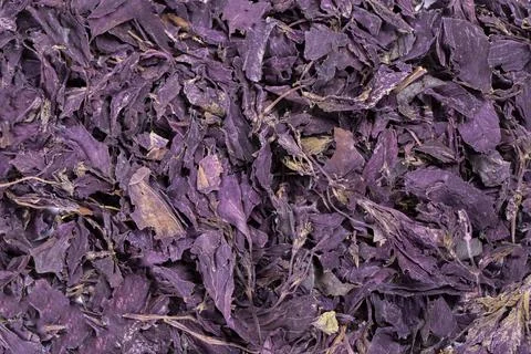 Red basil. Spices concept. Dried red basil spice background. Local name reyha Stock Photos
