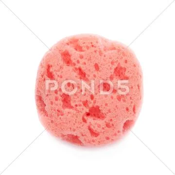 Red bathing sponge isolated over the white background Stock Photos