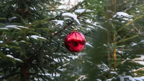 Red bauble on Christmas tree Stock Footage 147144112