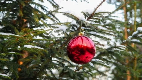 Red bauble on Christmas tree Stock Footage 147144117