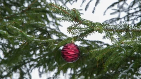 Red bauble on Christmas tree Stock Footage 149873413