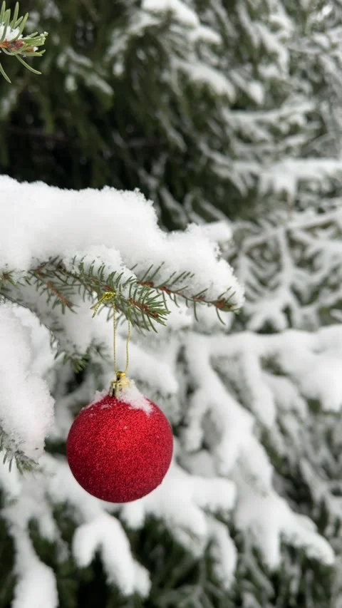 Red bauble hanging on snow-covered spruce branch under snow. Beautiful snow Stock Footage 256460285