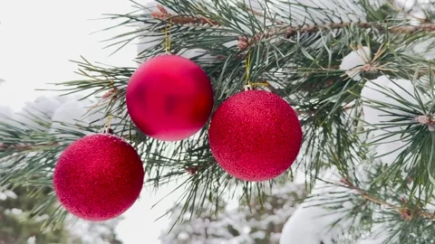Red baubles on pine branches, snowy Christmas background, holiday season joy Stock Footage 312727812