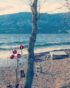 Red baubles on tree at the lake in winter Stock Photos