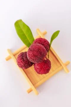 Red bayberry Stock Photos