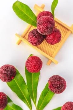 Red bayberry Stock Photos