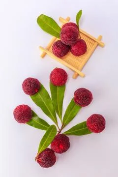 Red bayberry Stock Photos