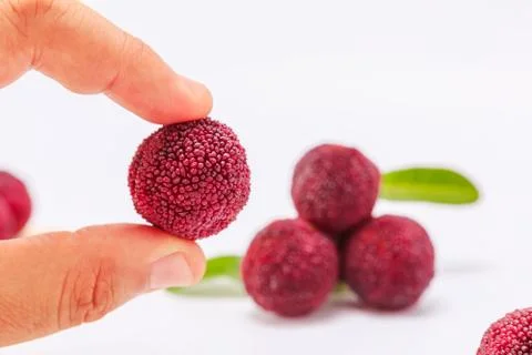 Red bayberry Stock Photos