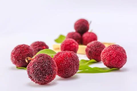 Red bayberry Stock Photos