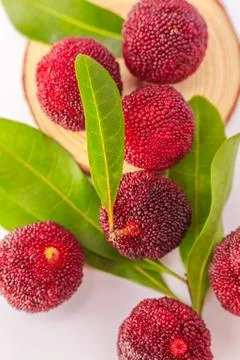 Red bayberry Stock Photos