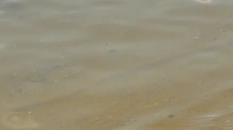 Red Beads Falls Down Into Limpid Water River Sandy Bottom Summer Sunny Day Stock Footage 64774084