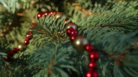 Red beads lie on the branches of a green spruce. Close-up of beads and smooth Stock Footage 296401435