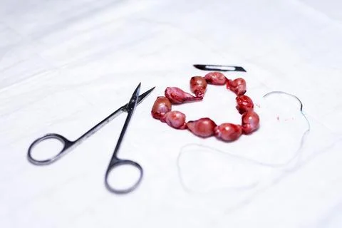 Red beads needle scissors on white fabric, loose thread and needle poised for 스톡 사진
