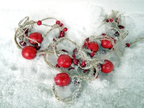 Red beads on the snow Stock Photos