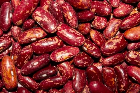 Red bean.The background of red beans. Stock Photos