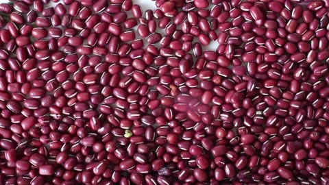 Red bean close up background Stock Footage 159141330