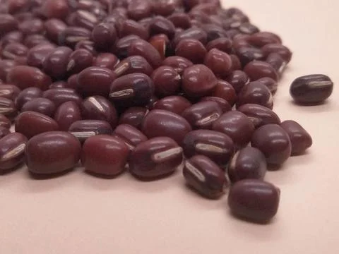 Red bean image on an orange isolate background Stock Photos