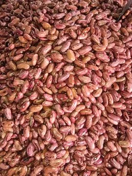 The red bean Stock Photos