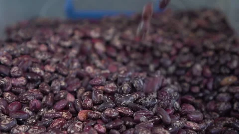 Red beans are piled in a heap in the market close-up. Slow motion. 库存影片 140886227