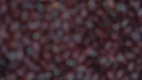 Red Beans. Background. Zoom, close up, detail, top view. Stock Footage 128844690