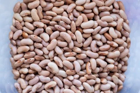 Red beans. Bean texture.Red beans in a container. Stock Photos