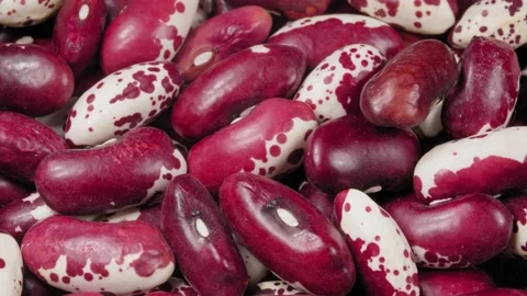 Red beans close up. Macro. 4K video. Organic legumes. Vidéo 140681635
