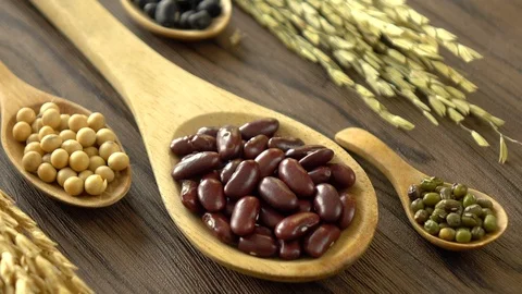 Red beans, mung beans, soy beans and black beans Stock Footage 116661079