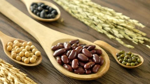 Red beans, mung beans, soy beans and black beans Stock Footage 116661098