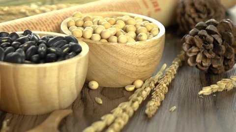 Red beans, mung beans, soy beans and black beans Stock Footage 116663700