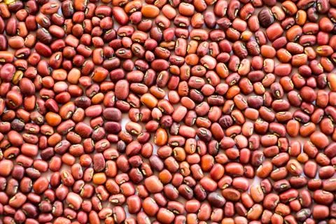 Red beans pattern as background Stock Photos