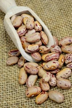 Red beans Stock-Fotos