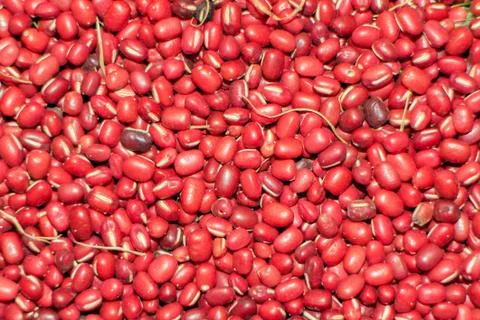 Red beans Foto stock