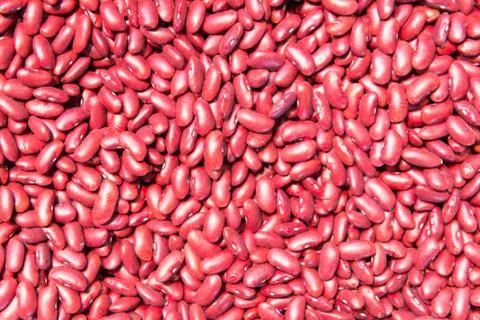 Red beans Photos