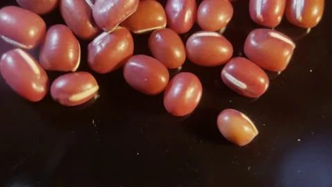 Red beans, red beans, coarse grains and miscellaneous grains (5) Stock Footage 202234790